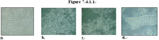 MEBO HBRRS - CLINICAL APPLICATION for Gastrointestinal regeneration III