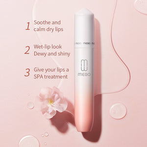 NEW UPGRADE MEBO LIP GLOSS -  The MEBO Studios